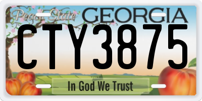GA license plate CTY3875