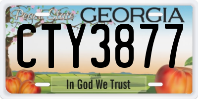 GA license plate CTY3877