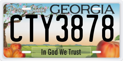 GA license plate CTY3878