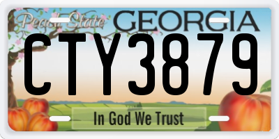 GA license plate CTY3879