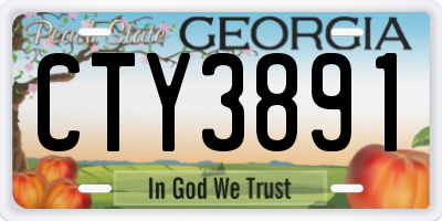 GA license plate CTY3891