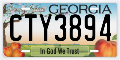 GA license plate CTY3894