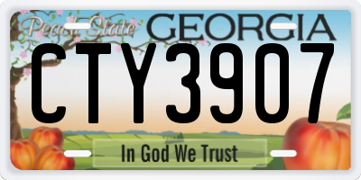 GA license plate CTY3907