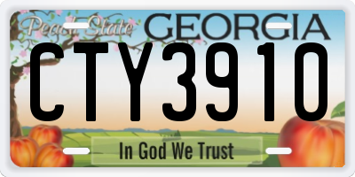 GA license plate CTY3910
