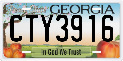 GA license plate CTY3916