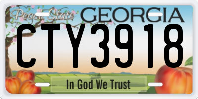 GA license plate CTY3918
