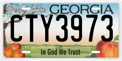 GA license plate CTY3973