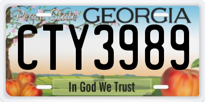 GA license plate CTY3989