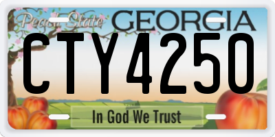 GA license plate CTY4250