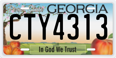 GA license plate CTY4313
