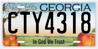 GA license plate CTY4318