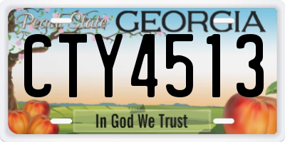 GA license plate CTY4513