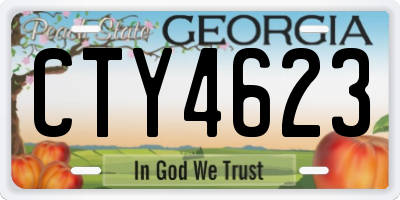 GA license plate CTY4623