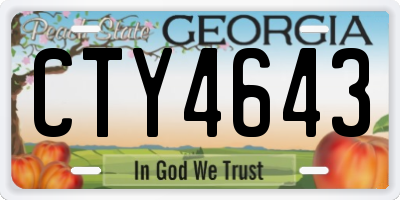 GA license plate CTY4643