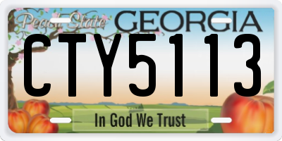 GA license plate CTY5113