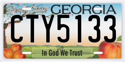 GA license plate CTY5133