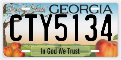 GA license plate CTY5134