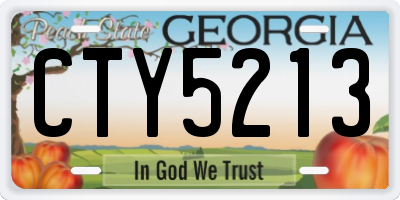 GA license plate CTY5213