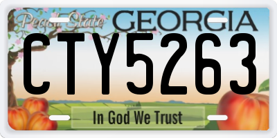 GA license plate CTY5263