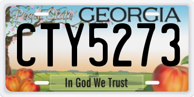 GA license plate CTY5273