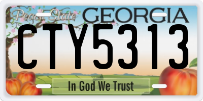 GA license plate CTY5313