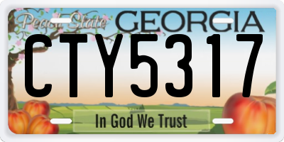 GA license plate CTY5317