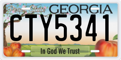 GA license plate CTY5341
