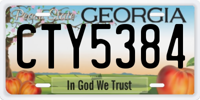 GA license plate CTY5384