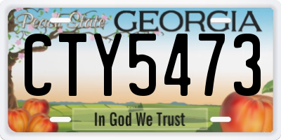 GA license plate CTY5473