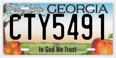 GA license plate CTY5491