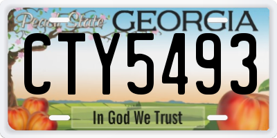 GA license plate CTY5493