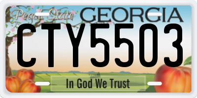 GA license plate CTY5503