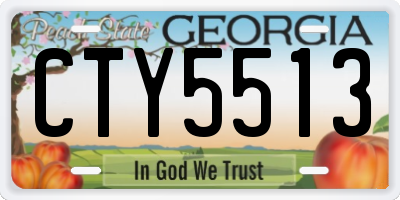 GA license plate CTY5513