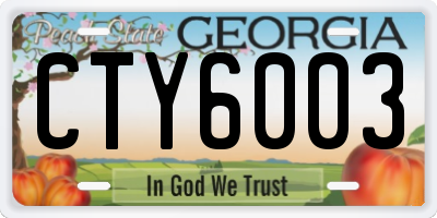 GA license plate CTY6003
