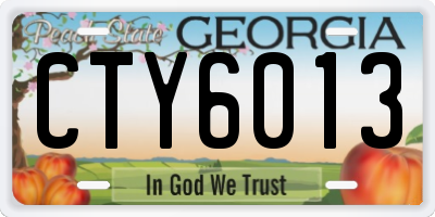 GA license plate CTY6013