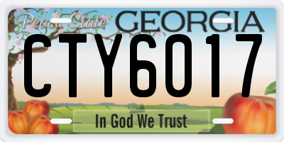 GA license plate CTY6017