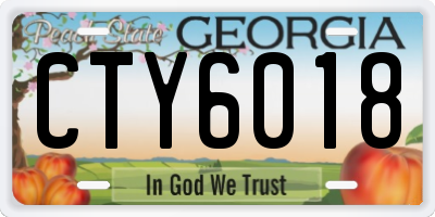 GA license plate CTY6018