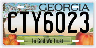 GA license plate CTY6023