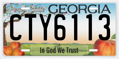 GA license plate CTY6113