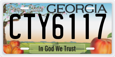 GA license plate CTY6117