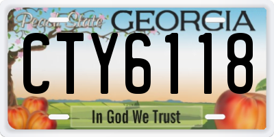 GA license plate CTY6118