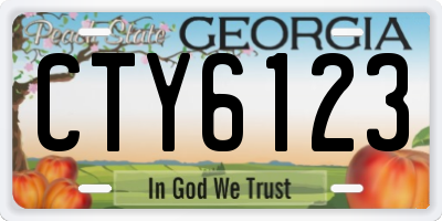 GA license plate CTY6123