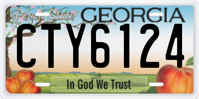 GA license plate CTY6124