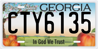 GA license plate CTY6135