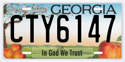 GA license plate CTY6147