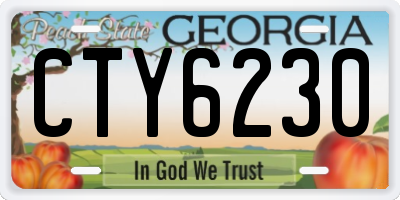 GA license plate CTY6230