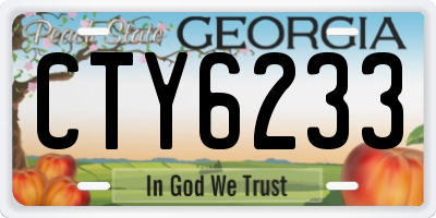 GA license plate CTY6233