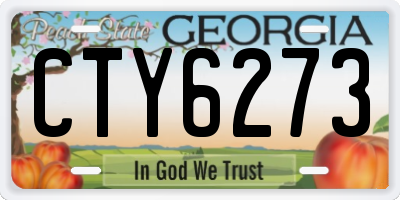 GA license plate CTY6273