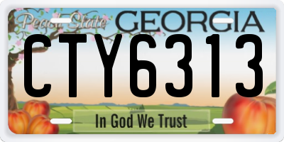 GA license plate CTY6313