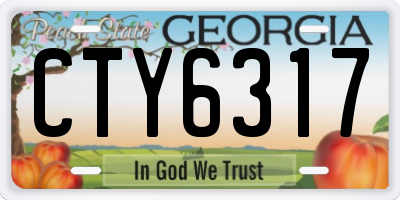 GA license plate CTY6317